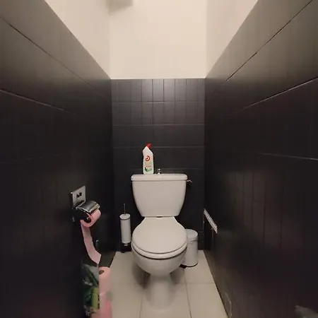 Apartment Le Balcon Des Pyrenees